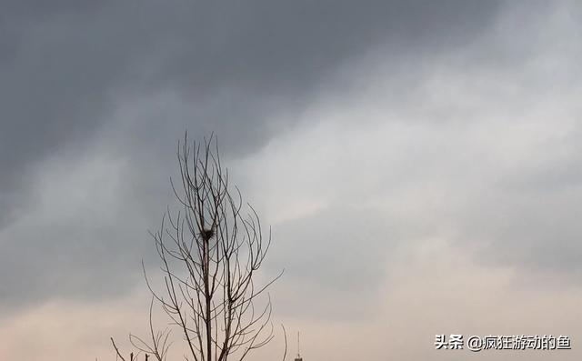 快手怎么快速涨粉
:怎样快速涨粉? 第1张 快手怎么快速涨粉
:怎样快速涨粉? 第1张