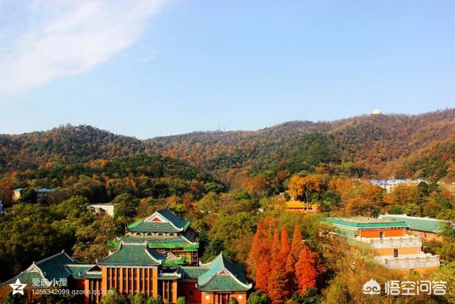 顺光:摄影，在什么情况下，会用：1逆光、2顺光、3侧逆光、4顶光？各有什么好处？  第1张