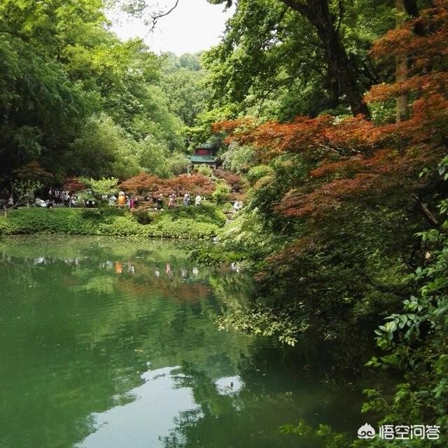 顺光:摄影，在什么情况下，会用：1逆光、2顺光、3侧逆光、4顶光？各有什么好处？  第2张