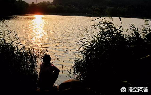 顺光:摄影，在什么情况下，会用：1逆光、2顺光、3侧逆光、4顶光？各有什么好处？  第4张