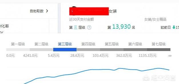 淘宝快速排名:淘宝卖家如何通过店铺层级提升排名？  第2张