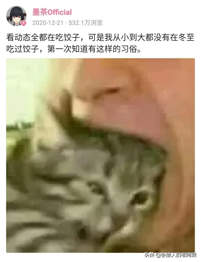 什么是up主:B站up主墨茶official得了什么病，整件事的前因后果是什么？  第6张