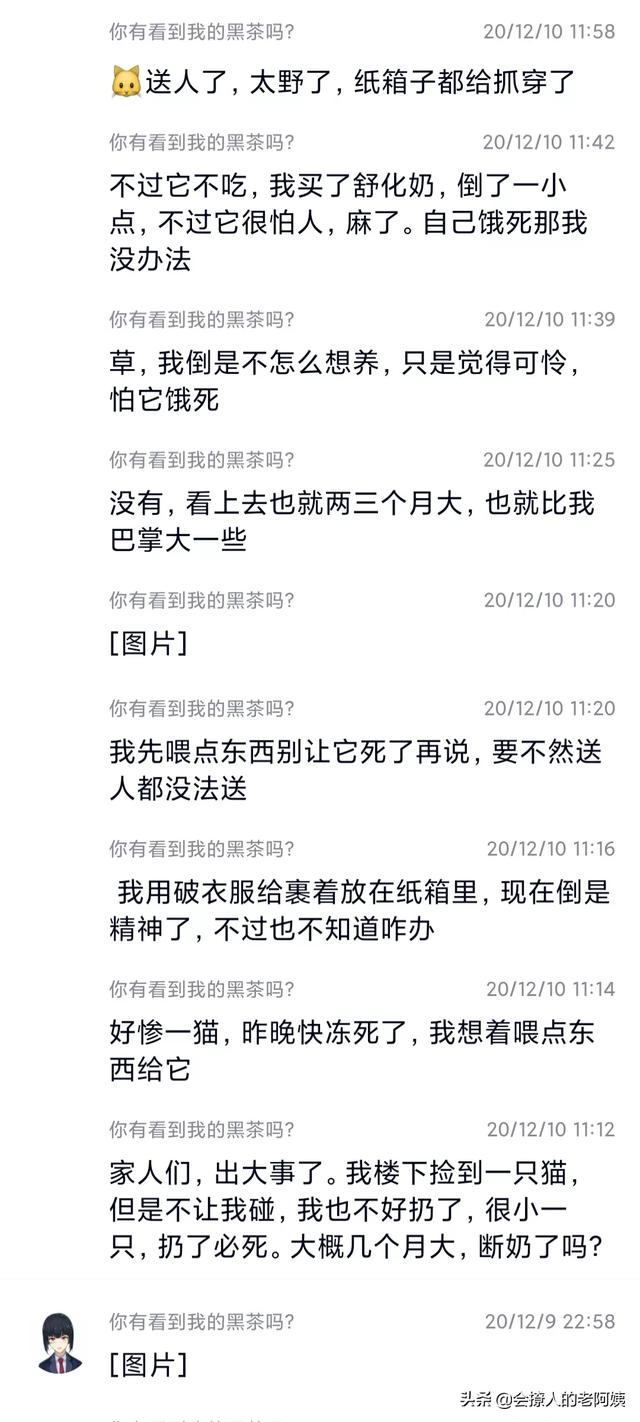 什么是up主:B站up主墨茶official得了什么病，整件事的前因后果是什么？  第8张