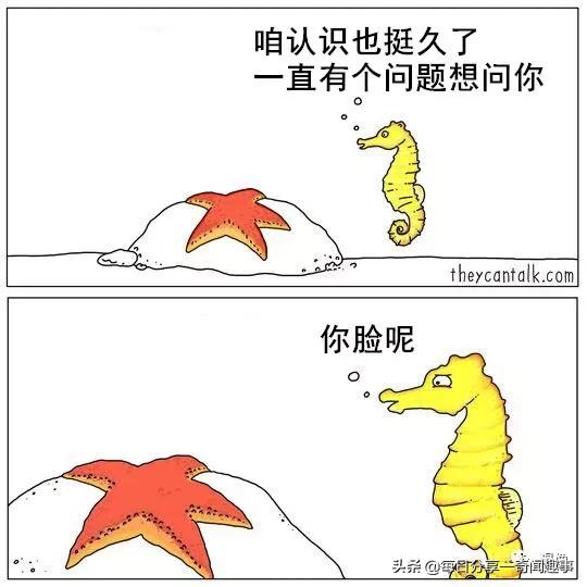 迷Hotel
:2020年都有哪些流行的梗，说出来大家一起乐乐？  第1张