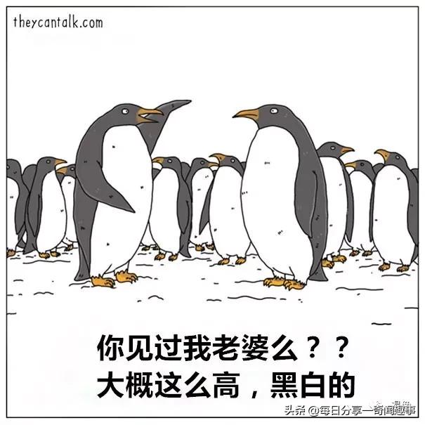 迷Hotel
:2020年都有哪些流行的梗，说出来大家一起乐乐？  第2张
