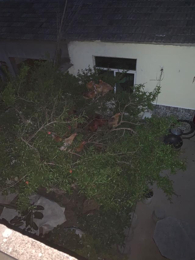 普通人玩快手怎么赚钱
:普通人如何才能月入两万? 第1张 普通人玩快手怎么赚钱
:普通人如何才能月入两万? 第1张