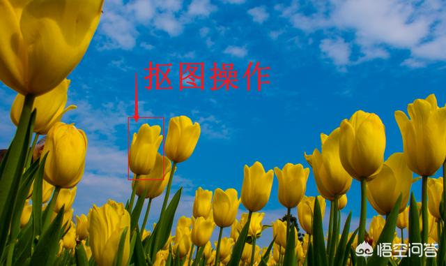 钢笔工具练习:如何用好PS软件中的钢笔工具？  第1张