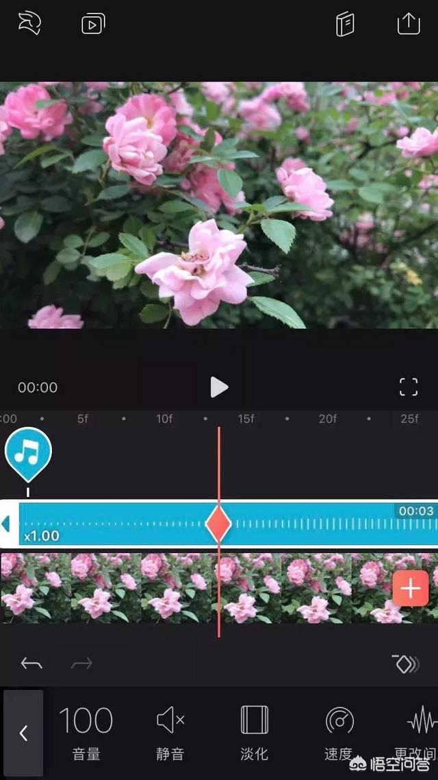 如何拍摄短视频:如何用手机拍摄剪辑短视频？  第3张