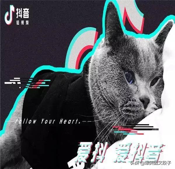 抖音账号检测:抖音垂直度和限流有什么内在联系么？  第2张