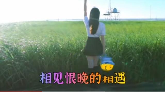 视频mv制作
:怎么给视频添加歌词制作成mv？  第2张