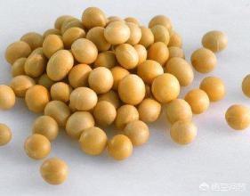 纳豆制作方法视频教程
:纳豆好吃，有哪些做的方法？  第1张