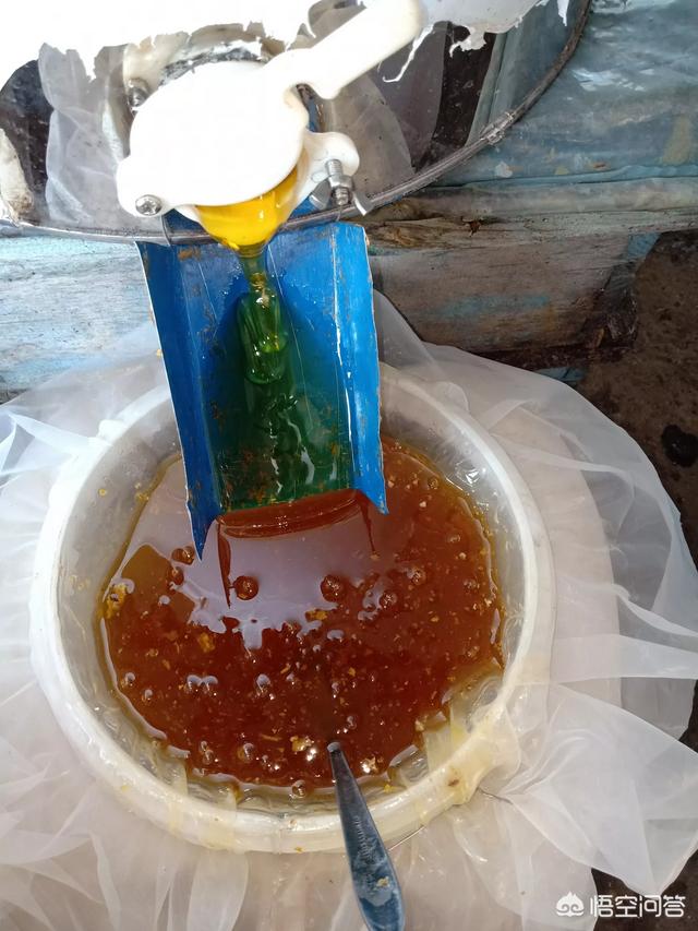 蜂蜜制作过程视频
:蜂蜜是如何产生的？  第3张