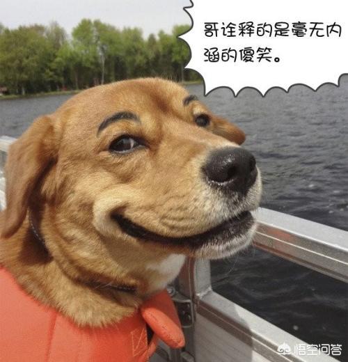 搞笑视频怎么制作的
:搞笑领域的视频要怎样做才可以创造收益？  第1张