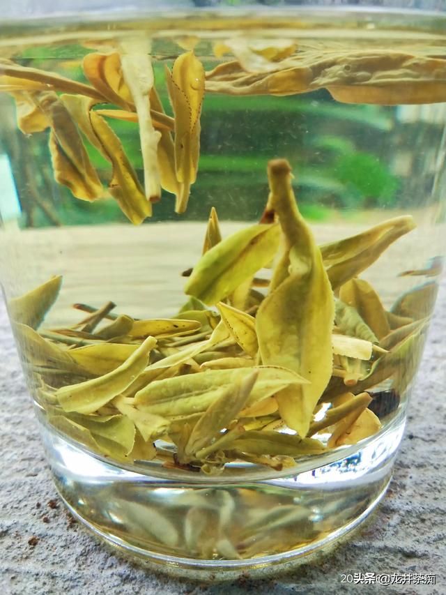 碧螺春的制作过程视频
:碧螺春可以做成金骏眉吗？  第2张