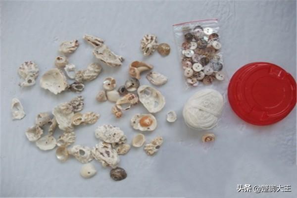 风铃的制作过程视频
:贝壳风铃的做法？  第1张
