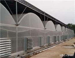 钢丝大棚制作方法视频
:怎么建温室大棚？  第1张