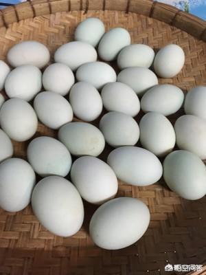 盐的制作过程视频
:怎么做咸蛋？  第2张