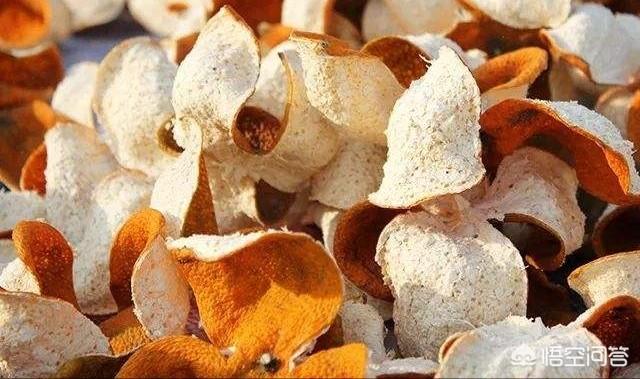 甘特图制作视频教程
:如何做陈皮？  第1张
