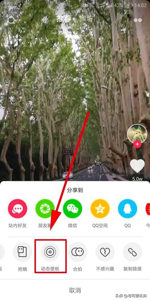视频做成动态壁纸
:怎么将抖音视频做成动态壁纸，又怎么修改或删除？  第2张