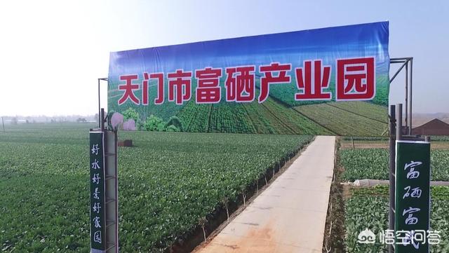 电商图片视频制作
:想在电商平台销售自家农产品，但没有摄影美工基础，该如何拍摄制作精美的图片？  第4张