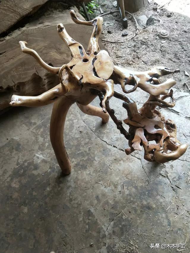 根艺制作视频
:请问做根艺如何防止树根开裂？  第3张
