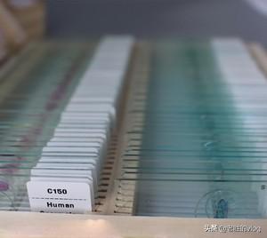 标本制作视频
:生物细胞标本制作方法是什么？  第1张
