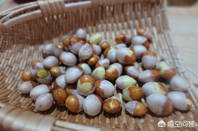 白果的制作方法视频
:白果怎么吃才是正确的？  第3张