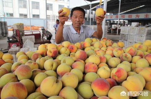 黄桃罐头的制作视频
:为什么好吃的黄桃偏偏拿来做罐头？  第3张