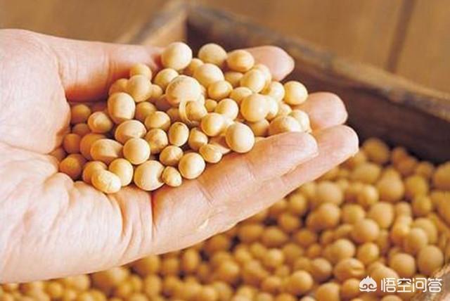 豆浆机制作方法视频
:为什么家里的豆浆机做不出外面那种又浓又香又好喝的豆浆？  第3张