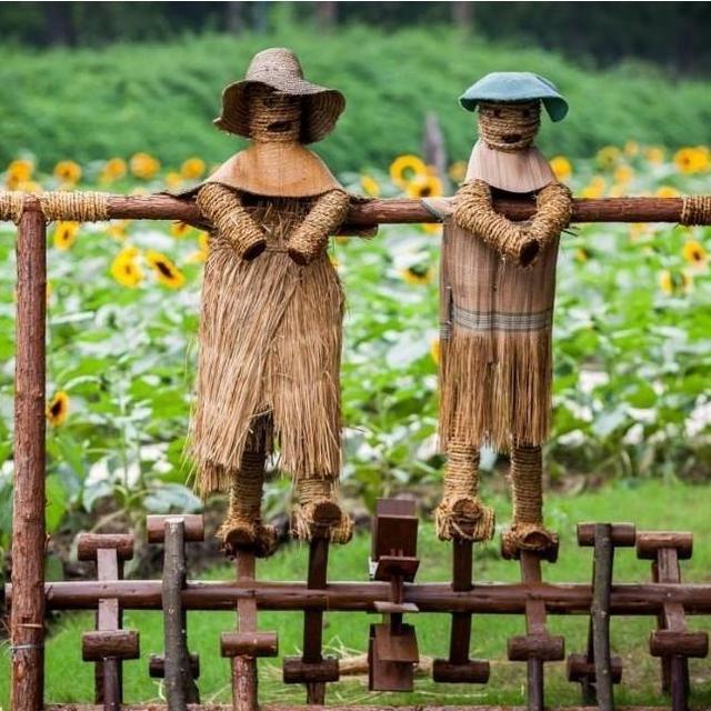 稻草人制作视频
:农村地里的稻草人，为什么不可以画五官？  第1张