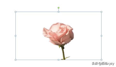 ppt做图片视频教程
:使用PPT怎么制作图片动画效果？  第1张