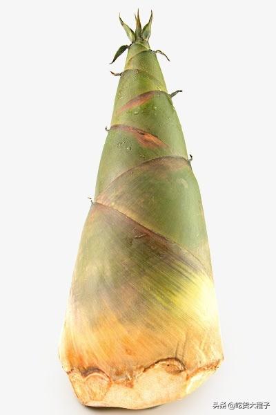 泡竹笋做法视频
:竹笋怎样泡发？  第5张