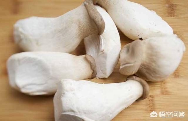 杏鲍菇做法视频
:杏鲍菇肉大肥嫩，都有什么好吃的做法吗？  第2张