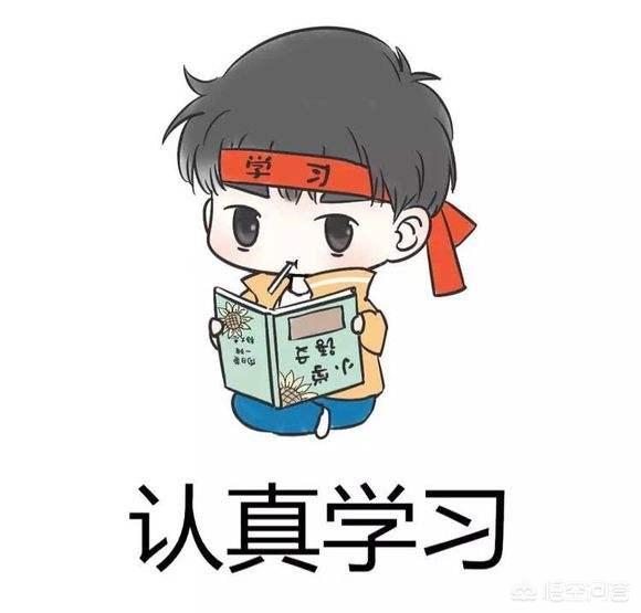 网站建设的视频
:怎么学会建设网站？  第1张