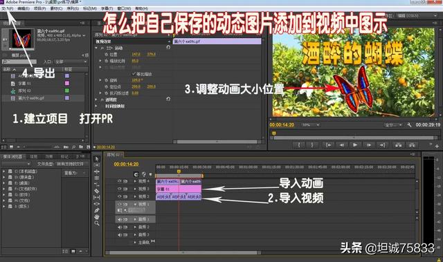 动态图片怎么制作视频教程
:怎么把自己保存的动态图片添加到视频中？  第1张