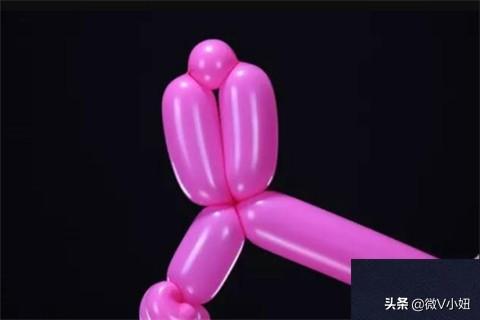 气球玫瑰花的做法视频
:气球玫瑰花造型教程？  第9张