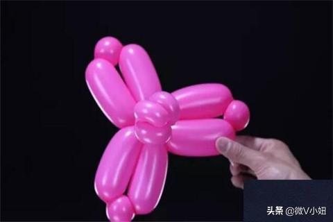 气球玫瑰花的做法视频
:气球玫瑰花造型教程？  第13张