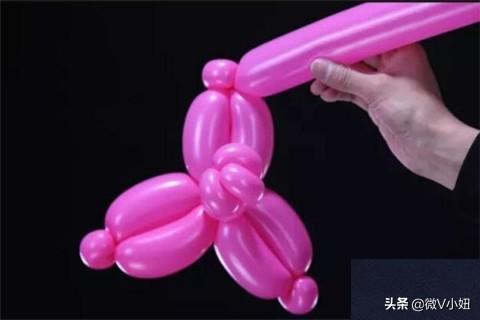 气球玫瑰花的做法视频
:气球玫瑰花造型教程？  第18张