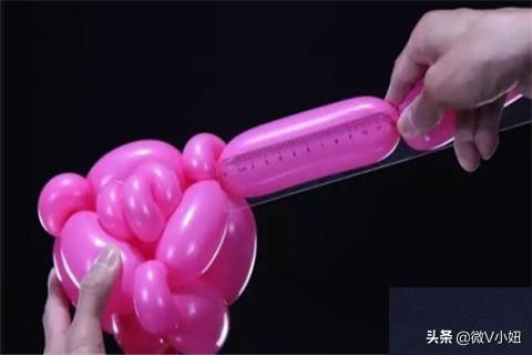 气球玫瑰花的做法视频
:气球玫瑰花造型教程？  第27张