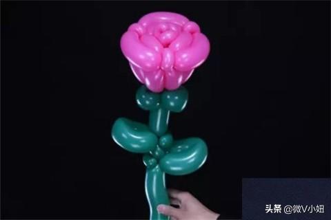 气球玫瑰花的做法视频
:气球玫瑰花造型教程？  第37张