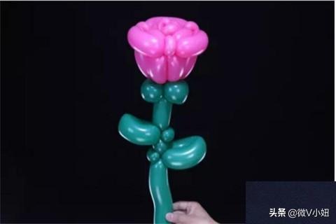 气球玫瑰花的做法视频
:气球玫瑰花造型教程？  第38张