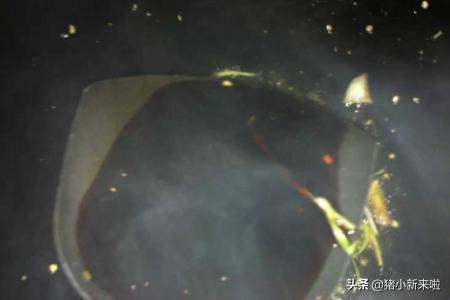 炒酸菜的做法视频
:家常炒酸菜怎么做？  第6张