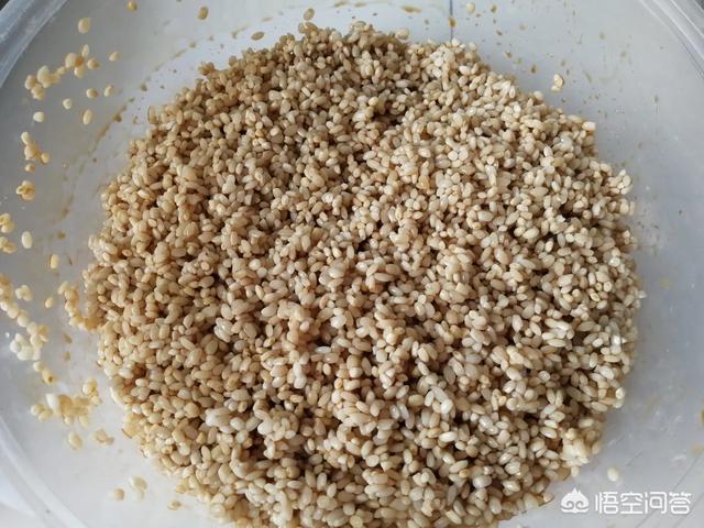 草莓粽子的做法视频
:粽子是怎么做的？  第5张