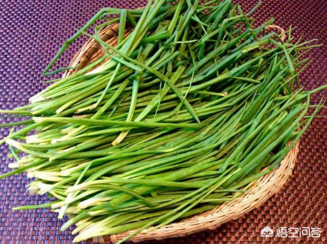 葱油的正宗做法视频
:葱油怎样熬制？  第3张
