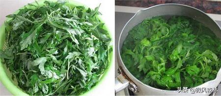 艾草粄的做法视频
:艾叶青团怎么做才有嚼劲？  第1张