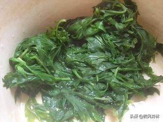 艾草粄的做法视频
:艾叶青团怎么做才有嚼劲？  第3张