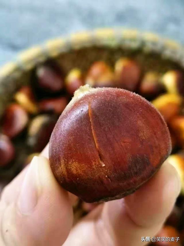 红烧肉简单做法视频
:板栗红烧肉的制作过程是怎样的？  第7张