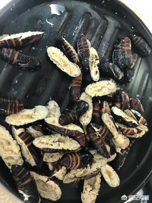 蚕蛹的做法视频
:蝉蛹怎么做好吃？  第3张