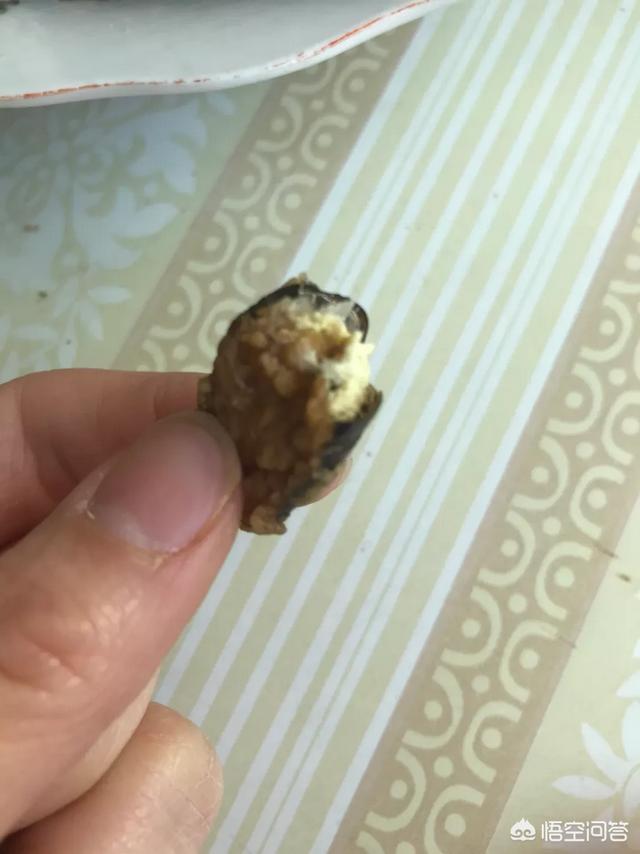 蚕蛹的做法视频
:蝉蛹怎么做好吃？  第5张