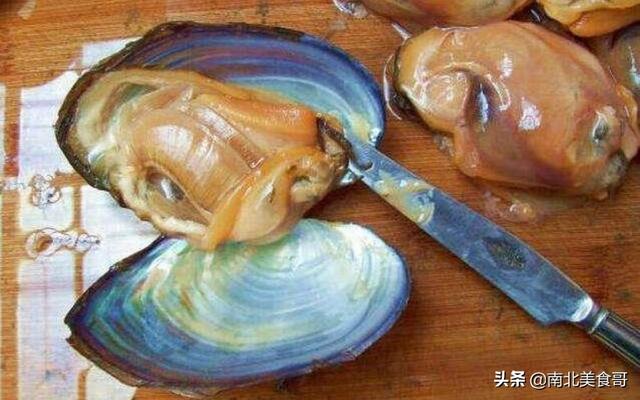 河蚌的做法视频
:大家好，请问河蚌怎么做好吃，有知道的吗？  第3张